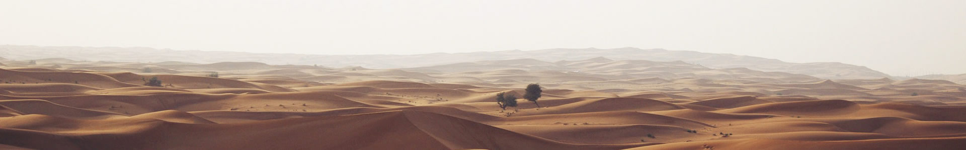 ݴƼ޹˾